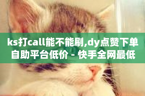 ks打call能不能刷,dy点赞下单自助平台低价 - 快手全网最低价下单平台 - 抖音点赞极速到账-第1张图片-ZBLOG