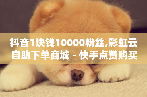 抖音1块钱10000粉丝,彩虹云自助下单商城 - 快手点赞购买网站平台 - q钻卡盟-第1张图片-ZBLOG