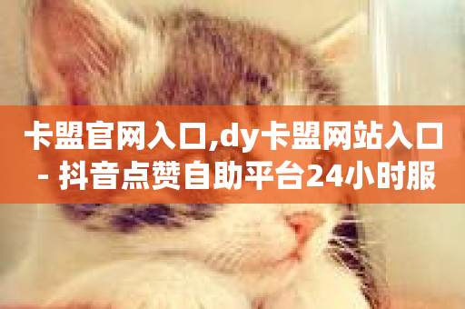 卡盟官网入口,dy卡盟网站入口 - 抖音点赞自助平台24小时服务 - dy业务24小时-第1张图片-ZBLOG