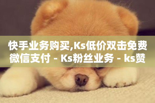 快手业务购买,Ks低价双击免费微信支付 - Ks粉丝业务 - ks赞自助下单平台网站便宜-第1张图片-ZBLOG