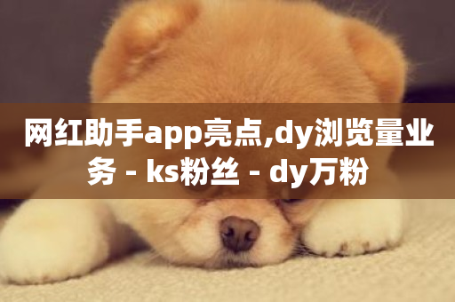 网红助手app亮点,dy浏览量业务 - ks粉丝 - dy万粉-第1张图片-ZBLOG