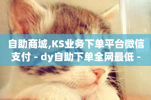 自助商城,KS业务下单平台微信支付 - dy自助下单全网最低 - ks点赞链接