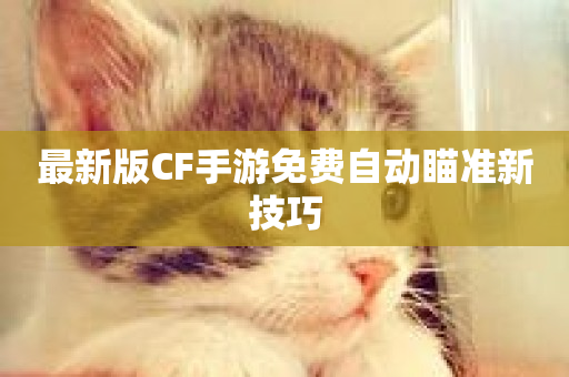 最新版CF手游免费自动瞄准新技巧-第1张图片-ZBLOG