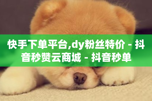 快手下单平台,dy粉丝特价 - 抖音秒赞云商城 - 抖音秒单