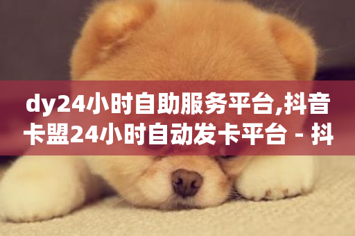 dy24小时自助服务平台,抖音卡盟24小时自动发卡平台 - 抖音业务24小时免费下单平台 - ks低价下单平台业务-第1张图片-ZBLOG