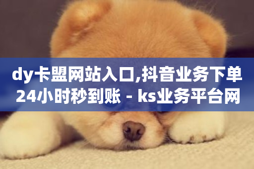 dy卡盟网站入口,抖音业务下单24小时秒到账 - ks业务平台网站 - 快手双击刷网站蚂蚁网-第1张图片-ZBLOG