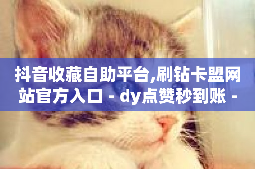 抖音收藏自助平台,刷钻卡盟网站官方入口 - dy点赞秒到账 - 超低价快手业务平台-第1张图片-ZBLOG