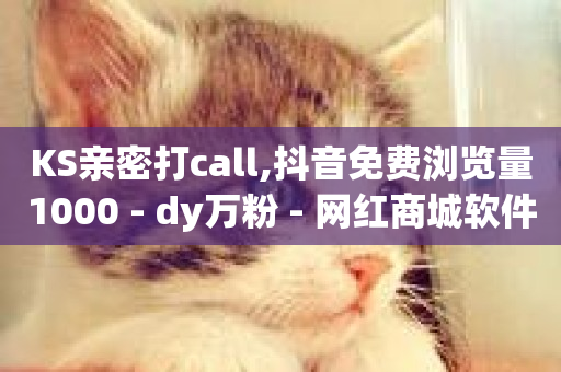 KS亲密打call,抖音免费浏览量1000 - dy万粉 - 网红商城软件