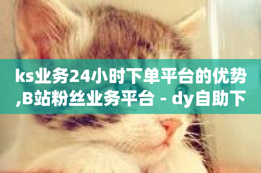 ks业务24小时下单平台的优势,B站粉丝业务平台 - dy自助下单软件 - dy业务低价自助下单软件