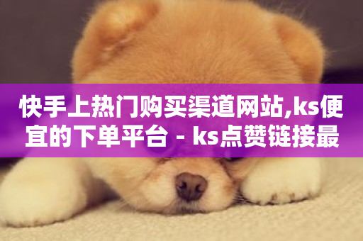 快手上热门购买渠道网站,ks便宜的下单平台 - ks点赞链接最简单方法 - 抖音业务下单24小时平台-第1张图片-ZBLOG