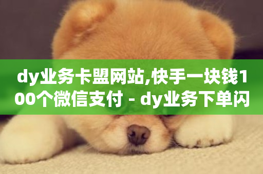 dy业务卡盟网站,快手一块钱100个微信支付 - dy业务下单闪电云商城 - 抖音秒赞自助-第1张图片-ZBLOG