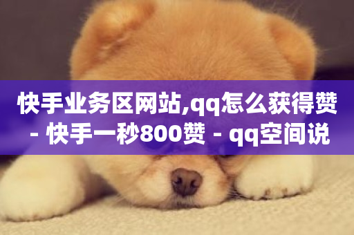 快手业务区网站,qq怎么获得赞 - 快手一秒800赞 - qq空间说说刷转发数量-第1张图片-ZBLOG