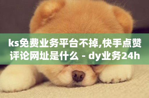 ks免费业务平台不掉,快手点赞评论网址是什么 - dy业务24h - ks云小店24小时自助下单-第1张图片-ZBLOG