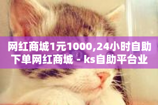 网红商城1元1000,24小时自助下单网红商城 - ks自助平台业务下单真人 - 快手一元一干点赞-第1张图片-ZBLOG