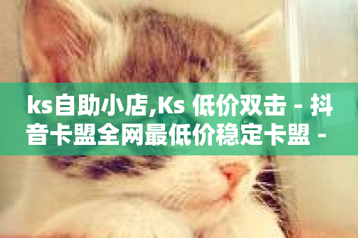 ks自助小店,Ks 低价双击 - 抖音卡盟全网最低价稳定卡盟 - 快手一块钱100个-第1张图片-ZBLOG