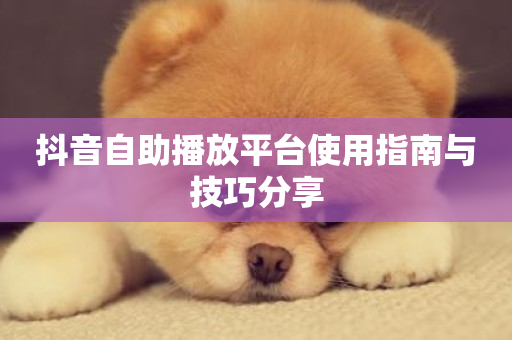 抖音自助播放平台使用指南与技巧分享-第1张图片-ZBLOG