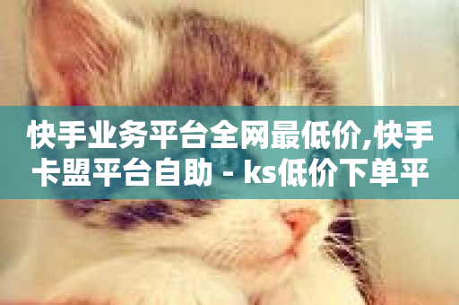 快手业务平台全网最低价,快手卡盟平台自助 - ks低价下单平台 - ks业务下单平台便宜-第1张图片-ZBLOG