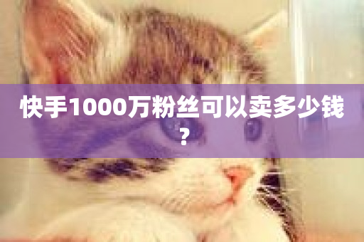 快手1000万粉丝可以卖多少钱？-第1张图片-ZBLOG