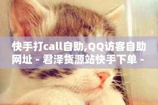 快手打call自助,QQ访客自助网址 - 君泽货源站快手下单 - 全民k歌业务下单平台低价