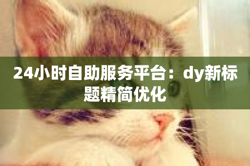 24小时自助服务平台：dy新标题精简优化-第1张图片-ZBLOG