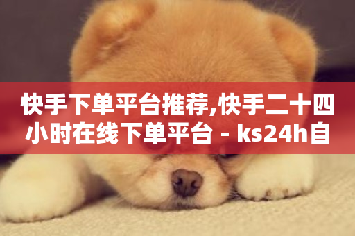 快手下单平台推荐,快手二十四小时在线下单平台 - ks24h自助下单 - 快手涨粉一分钱网站-第1张图片-ZBLOG