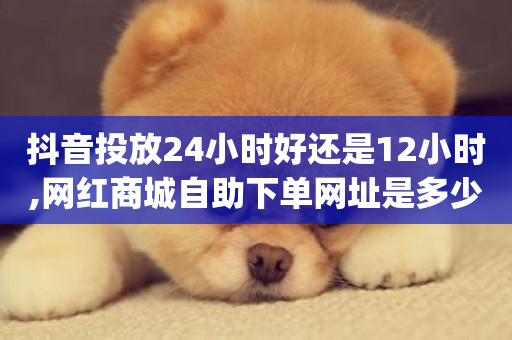 抖音投放24小时好还是12小时,网红商城自助下单网址是多少 - 超低价qq空间业务 - 快手在线24小时业务-第1张图片-ZBLOG