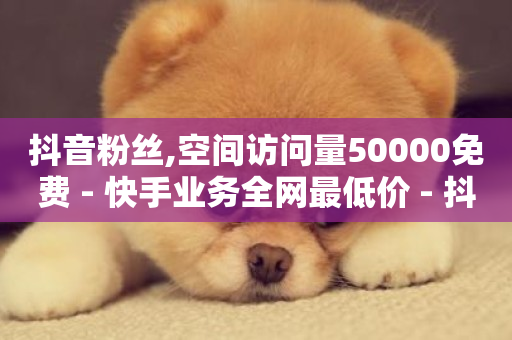 抖音粉丝,空间访问量50000免费 - 快手业务全网最低价 - 抖音快手24h自助-第1张图片-ZBLOG