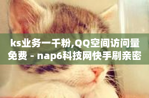 ks业务一千粉,QQ空间访问量免费 - nap6科技网快手刷亲密度网站 - 闲鱼业务自助网站-第1张图片-ZBLOG