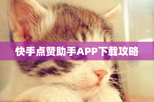 快手点赞助手APP下载攻略-第1张图片-ZBLOG