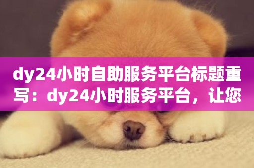 dy24小时自助服务平台标题重写：dy24小时服务平台，让您随时随地获得所需服务-第1张图片-ZBLOG