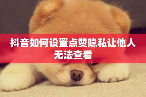 抖音如何设置点赞隐私让他人无法查看-第1张图片-ZBLOG