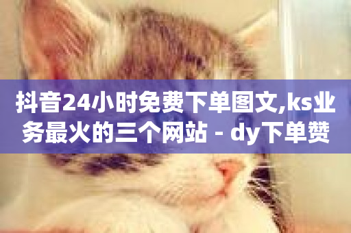 抖音24小时免费下单图文,ks业务最火的三个网站 - dy下单赞 - 抖音业务低价链接-第1张图片-ZBLOG