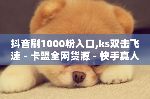 抖音刷1000粉入口,ks双击飞速 - 卡盟全网货源 - 快手真人粉丝平台 永不掉粉-第1张图片-ZBLOG