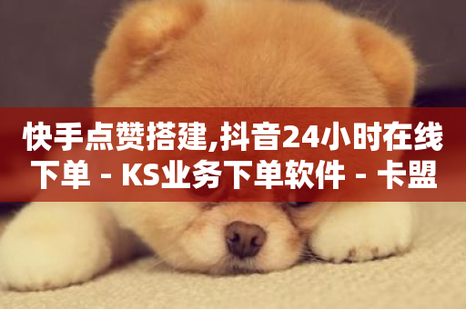 快手点赞搭建,抖音24小时在线下单 - KS业务下单软件 - 卡盟货源站