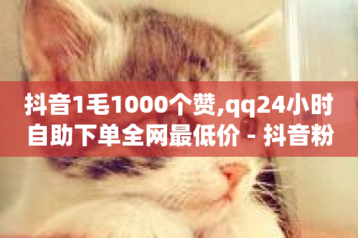 抖音1毛1000个赞,qq24小时自助下单全网最低价 - 抖音粉丝一千 - ks平台业务什么意思-第1张图片-ZBLOG