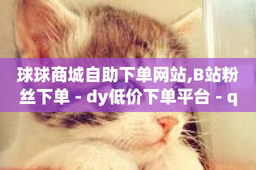 球球商城自助下单网站,B站粉丝下单 - dy低价下单平台 - qq免费一万访客软件-第1张图片-ZBLOG