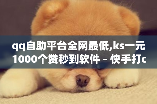 qq自助平台全网最低,ks一元1000个赞秒到软件 - 快手打call业务 - 超专业自助平台-第1张图片-ZBLOG