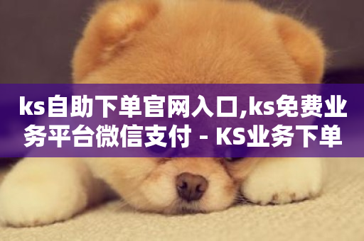 ks自助下单官网入口,ks免费业务平台微信支付 - KS业务下单平台秒到 - 快手引流软件全自动免费-第1张图片-ZBLOG