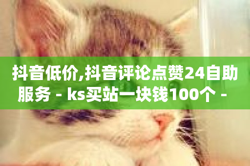 抖音低价,抖音评论点赞24自助服务 - ks买站一块钱100个 - dy自定义评论下单