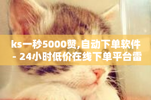 ks一秒5000赞,自动下单软件 - 24小时低价在线下单平台雷神 - 全网最低价24小时自助下单软件-第1张图片-ZBLOG