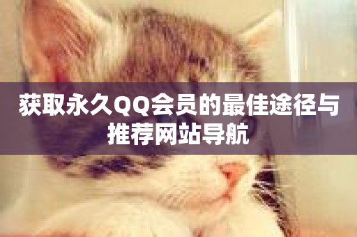 获取永久QQ会员的最佳途径与推荐网站导航-第1张图片-ZBLOG