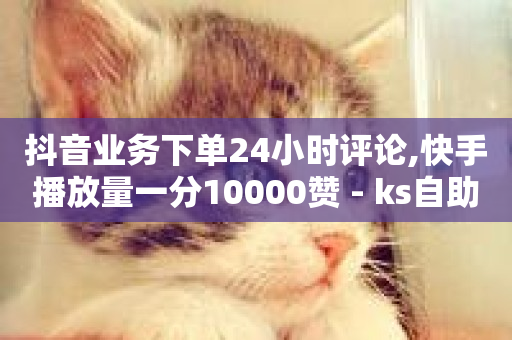 抖音业务下单24小时评论,快手播放量一分10000赞 - ks自助下单商城 - 抖音点赞业务24小时平台-第1张图片-ZBLOG