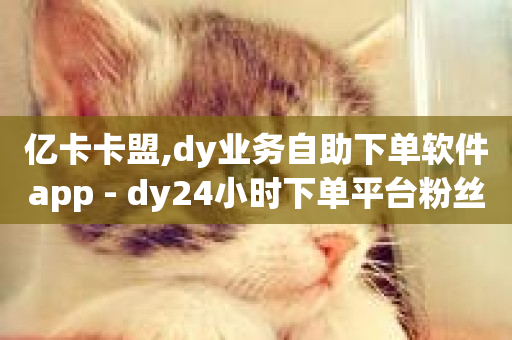 亿卡卡盟,dy业务自助下单软件app - dy24小时下单平台粉丝 - 快手24小时在线下单平台免费永久-第1张图片-ZBLOG