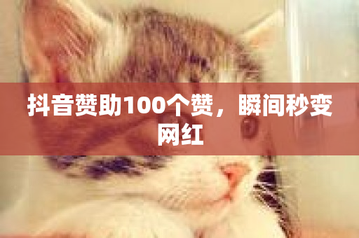 抖音赞助100个赞，瞬间秒变网红-第1张图片-ZBLOG