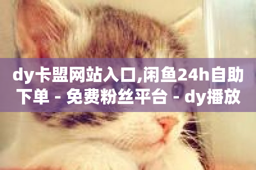 dy卡盟网站入口,闲鱼24h自助下单 - 免费粉丝平台 - dy播放量24小时到账-第1张图片-ZBLOG