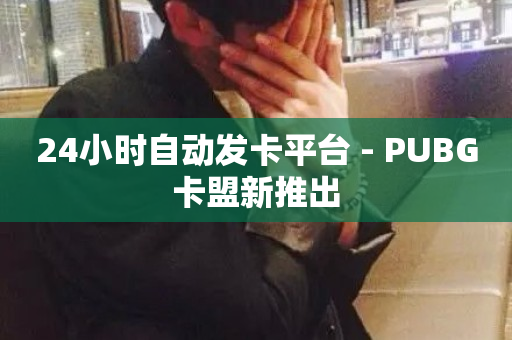 24小时自动发卡平台 - PUBG卡盟新推出