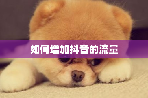 如何增加抖音的流量-第1张图片-ZBLOG