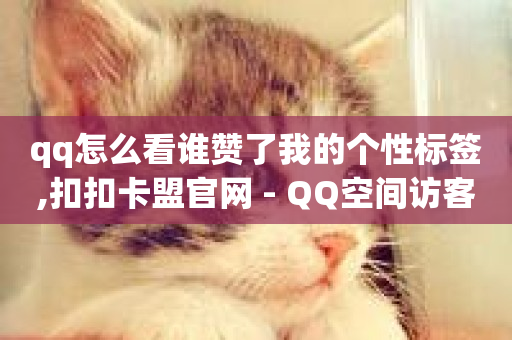 qq怎么看谁赞了我的个性标签,扣扣卡盟官网 - QQ空间访客记录多久清空 - qq动态点赞1毛10000赞微信支付-第1张图片-ZBLOG