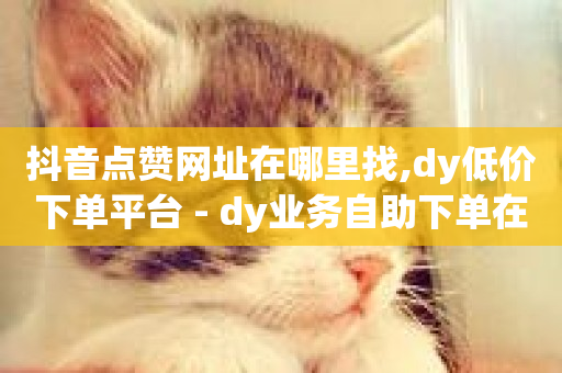 抖音点赞网址在哪里找,dy低价下单平台 - dy业务自助下单在线低价 - 快手全网最低价