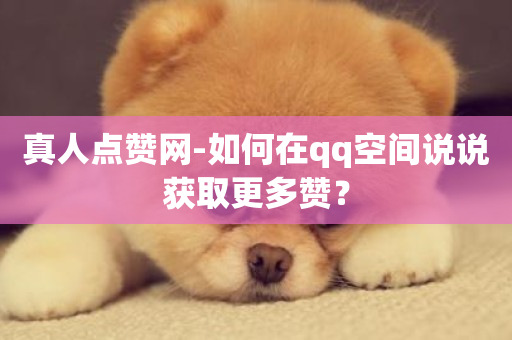 真人点赞网-如何在qq空间说说获取更多赞？-第1张图片-ZBLOG